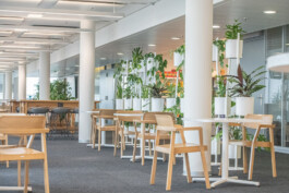 Studio Z20 AG | Workplace Architecture