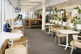 Studio Z20 AG | Workplace Architecture